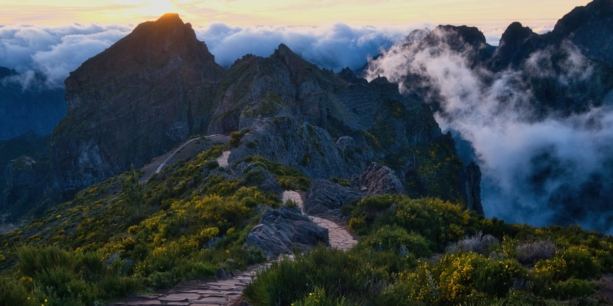 The Goal-Gradient Effect: Why the End Feels Easier
