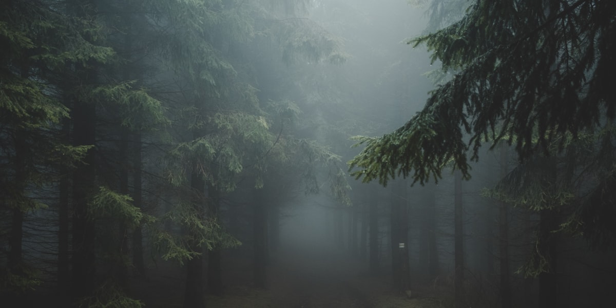 How Long Does It Really Take to Form a Habit?