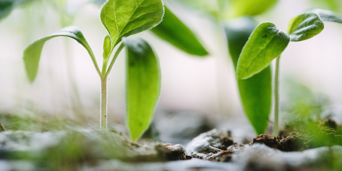 The Progress Principle: Small Wins Are the Engine