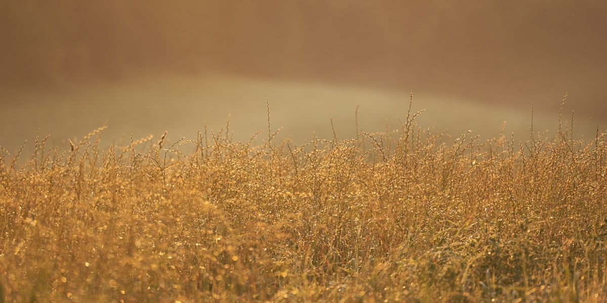 How to Start Over Without Starting from Zero