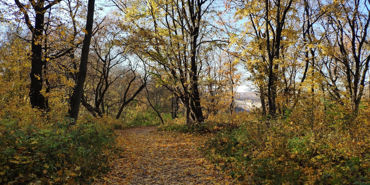 The Middle Is the Hardest Part of Any Goal