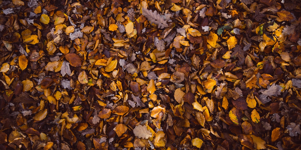 Why Most Goals Fail by February